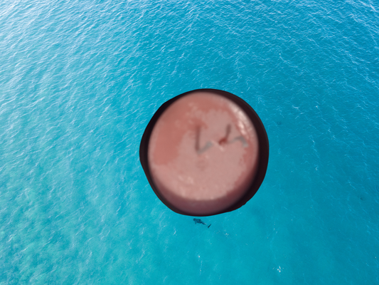 Citrus Ember "4 oz" Scented Candles