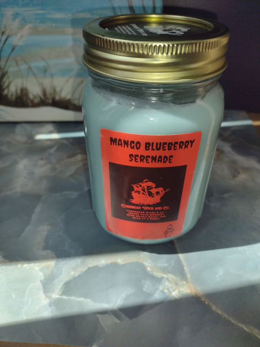 Mango Blueberry Serenade 16 oz glass candle